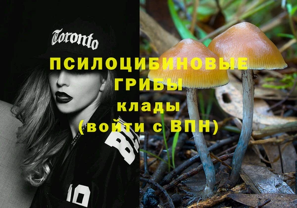 mdpv Алзамай