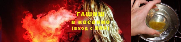амф Новозыбков